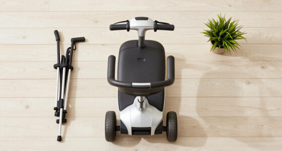 10 Best Mobility Scooters for Seniors in 2026