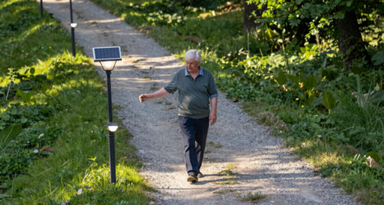 10 Best Solar Path Lights for Country Walkways in 2026