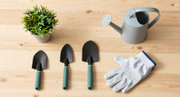12 Best Senior-Friendly Outdoor Garden Tools in 2026