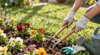 12 Best Weeding Tools in 2026