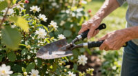6 Best Senior-Friendly Gardening Tools in 2026