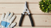8 Best Telescoping Tree Pruners for Seniors in 2026