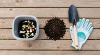A Beginner's Guide to Composting the Easy Way