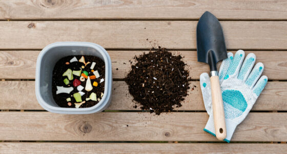 A Beginner's Guide to Composting the Easy Way