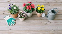 A Gentle Guide to Porch Container Flowers