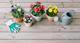 A Gentle Guide to Porch Container Flowers