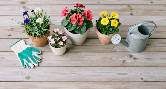 A Gentle Guide to Porch Container Flowers