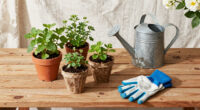 A Simple Spring Garden Plan for Slower, Easier Days