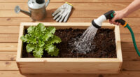 How to Water a Raised Bed Efficiently with Less Effort