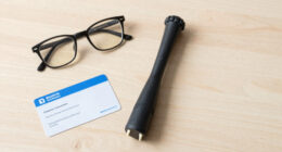 rabies bat