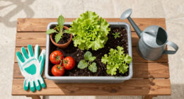 Starting a Simple Vegetable Patch You Can Manage