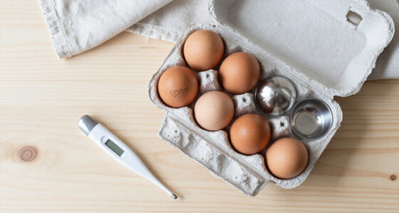 Egg Recall