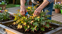 11 Best Compact Garden Trees for Small Spaces in 2027