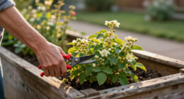 14 Best Gardening Pruning Shears for Cleaner, Easier Cuts in 2027