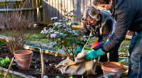 6 Best Rose Winter Protection Products for 2027
